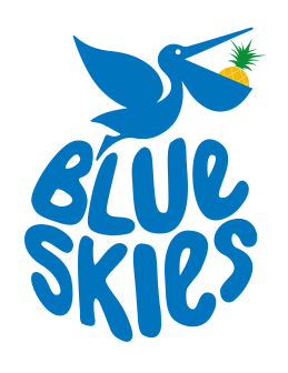 Blue Skies Holdings Ltd